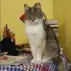 Отзыв от Катюша Калашникова